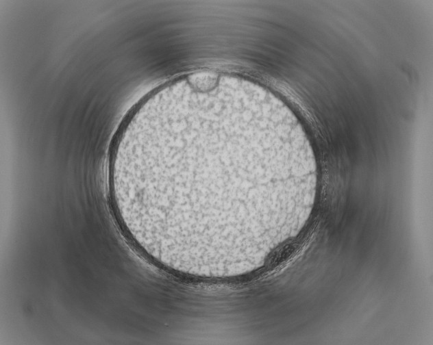 X0000111911079200909071152