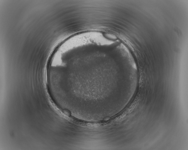 X0000111911080200909071152