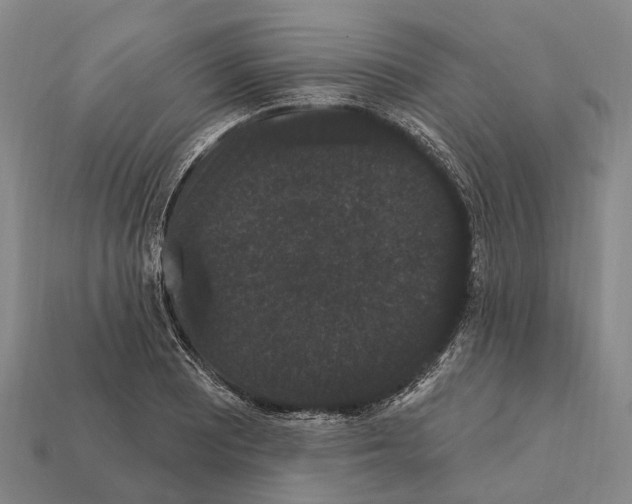 X0000111911081200909071152