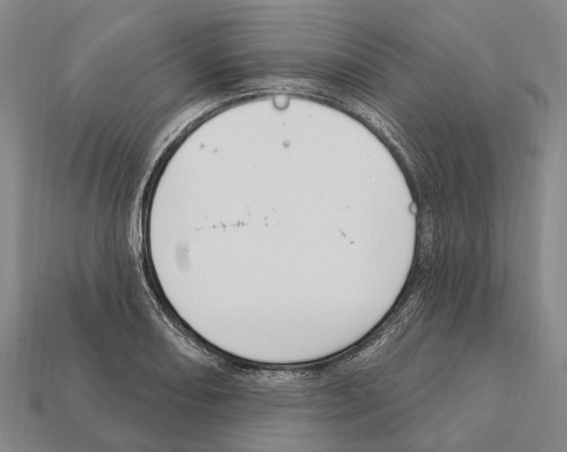 X0000111911082200909071152