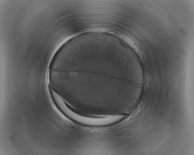 X0000111911084200909071152