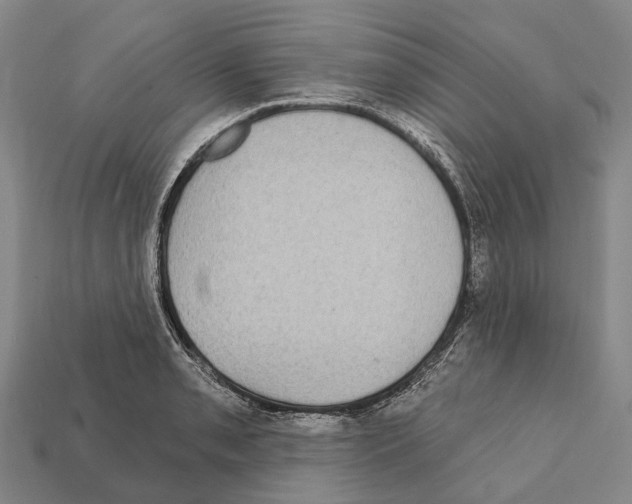 X0000111911085200909071152