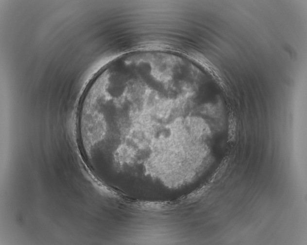 X0000111911086200909071152