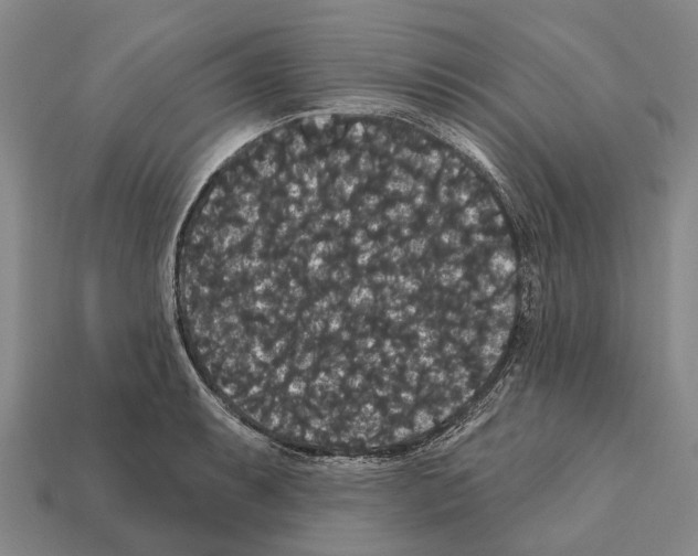 X0000111911087200909071152