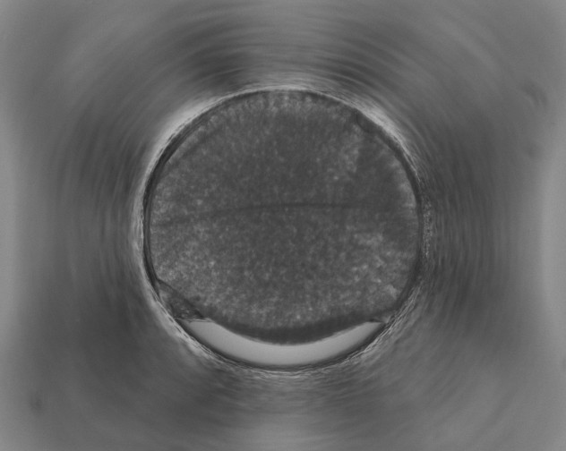 X0000111911088200909071152