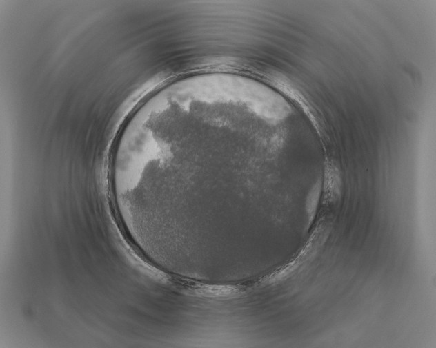 X0000111911090200909071152