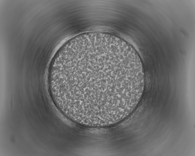 X0000111911091200909071151