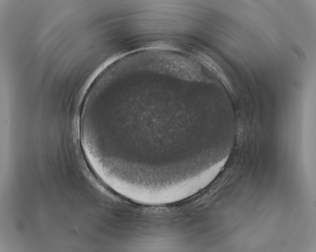 X0000111911092200909071151