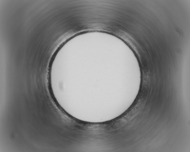 X0000111911093200909071151