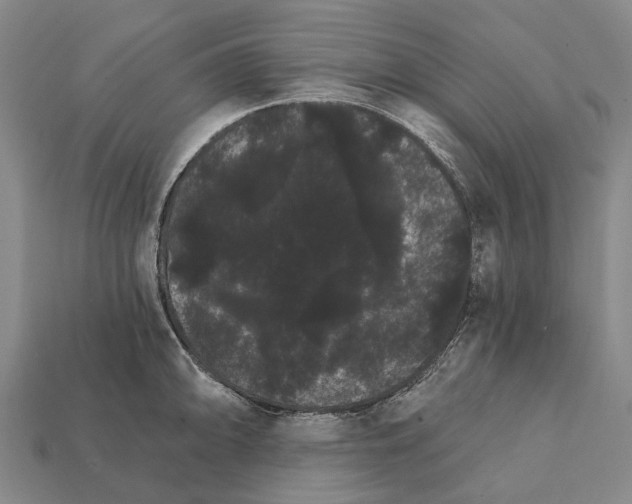 X0000111911094200909071151