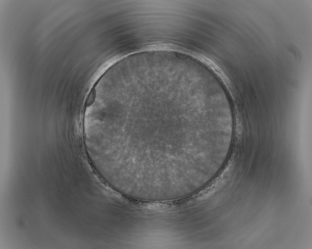 X0000111911097200909071151