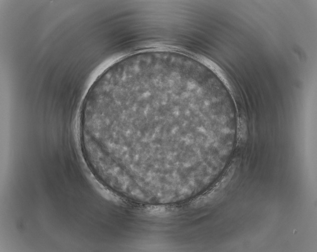 X0000111911098200909071151