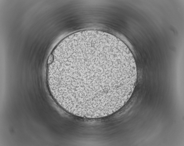 X0000111911099200909071151
