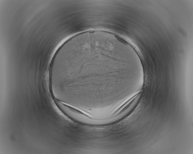 X0000111911100200909071151
