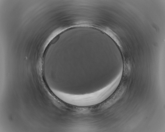 X0000111911101200909071151