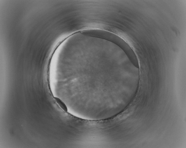 X0000111911104200909071151