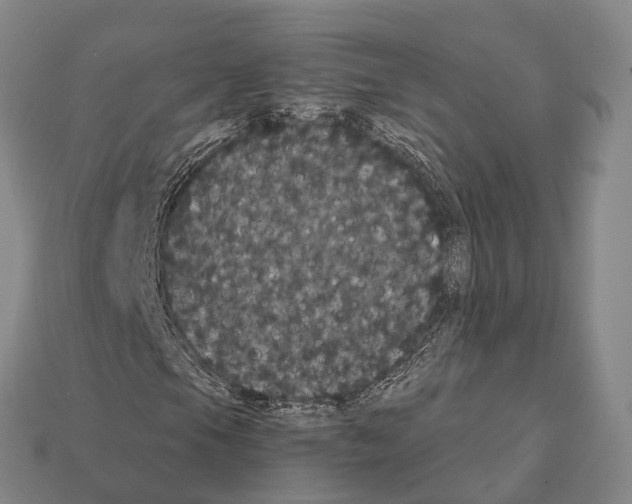 X0000111911105200909071151