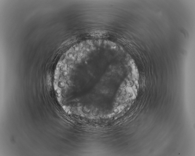 X0000111911106200909071151