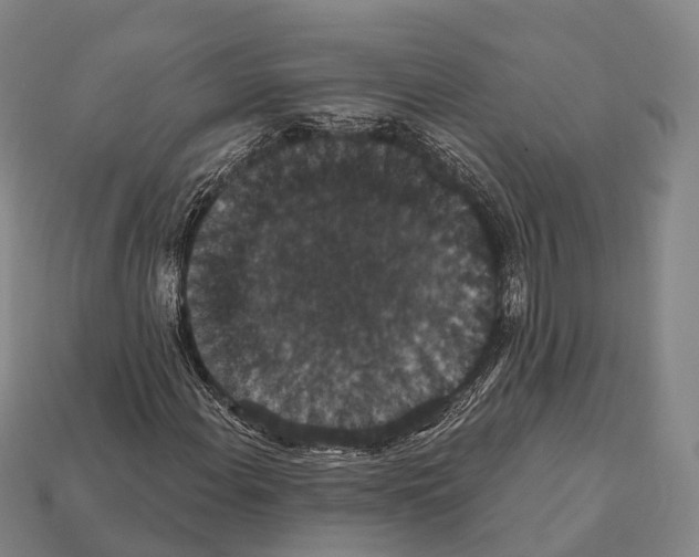 X0000111911108200909071151
