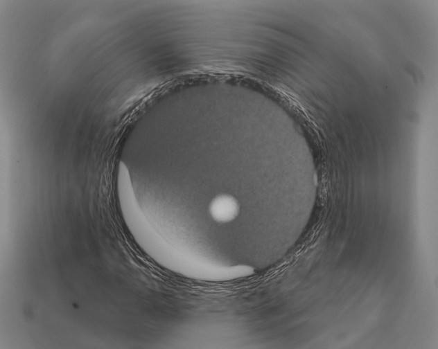X0000111911110200909071151