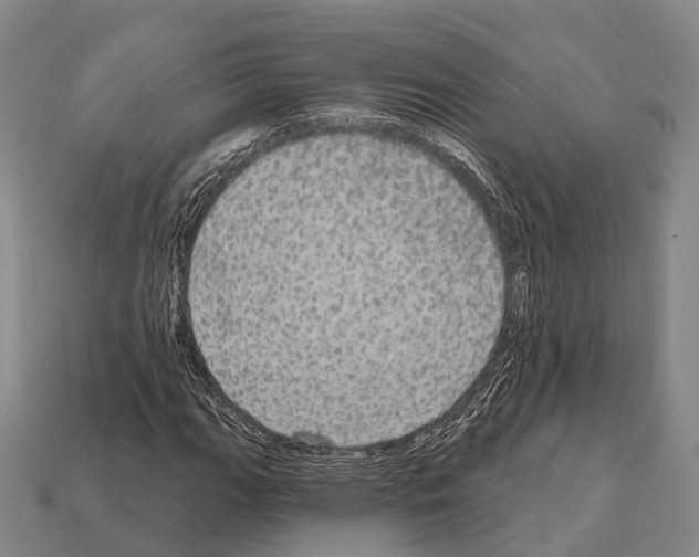 X0000111911111200909071151