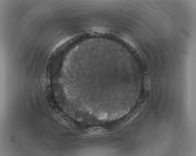 X0000111911112200909071151