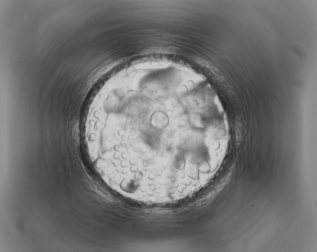 X0000111911113200909071151