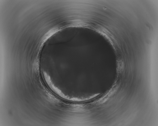 X0000111911114200909071151