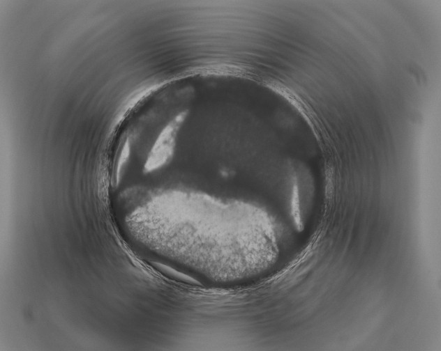X0000111911115200909071151