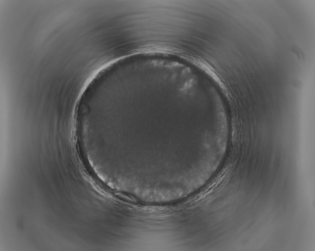X0000111911116200909071151