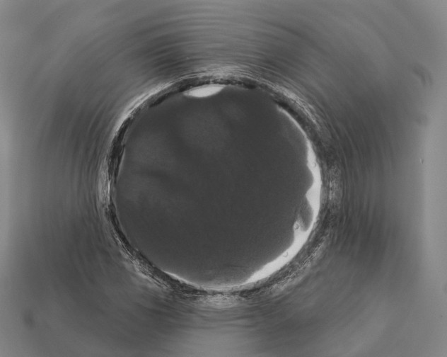X0000111911117200909071151