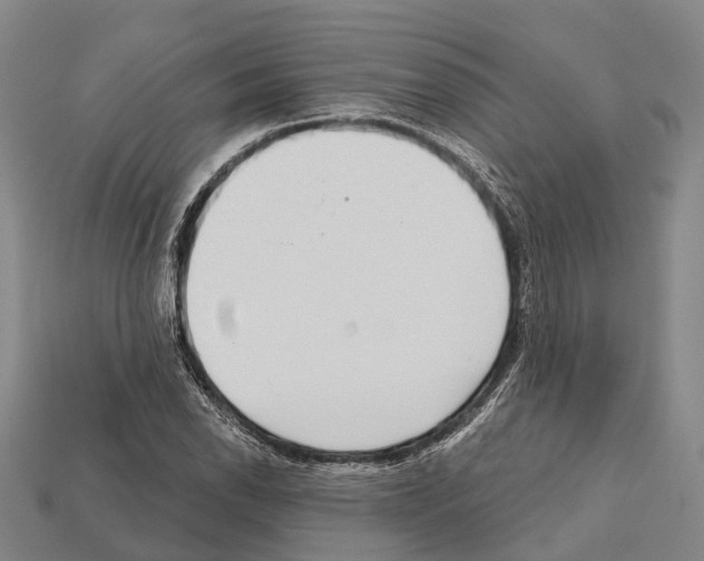 X0000111911118200909071151