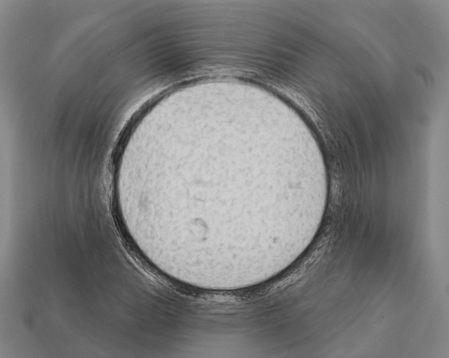 X0000111911119200909071151