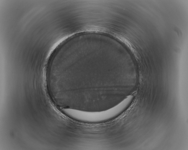 X0000111911120200909071151