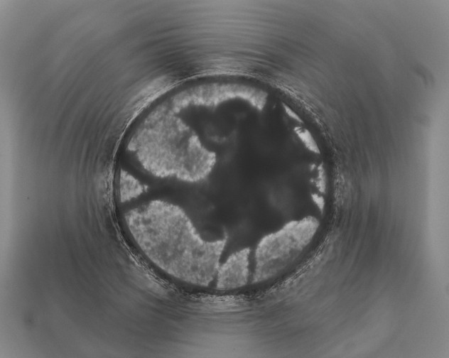 X0000111911121200909071151