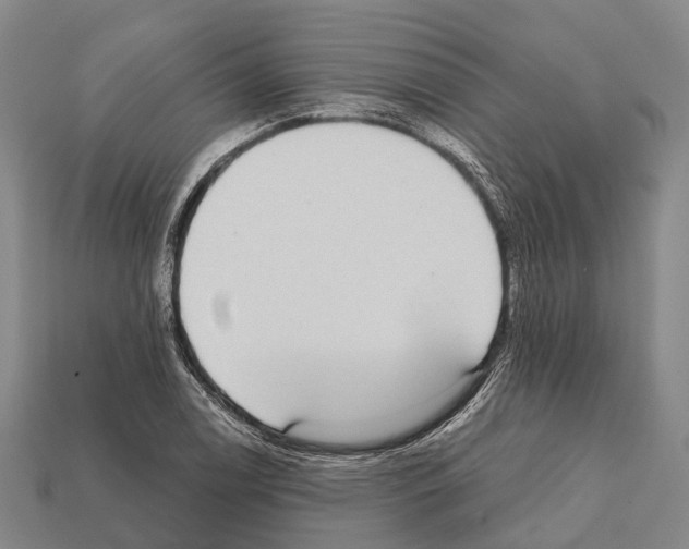 X0000111911122200909071151