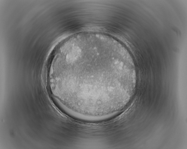 X0000111911123200909071151