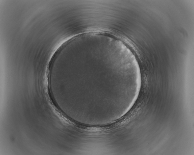 X0000111911124200909071151