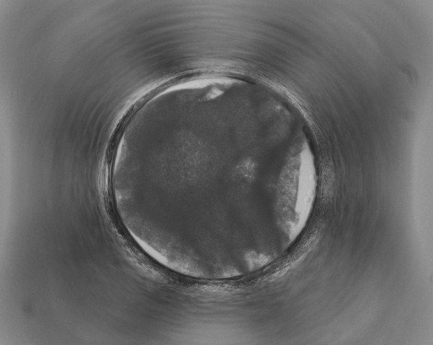 X0000111911125200909071151