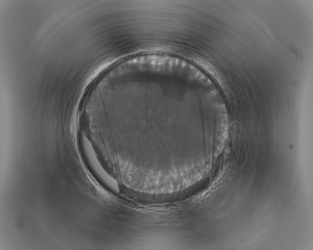 X0000111911127200909071151