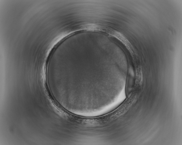 X0000111911128200909071151