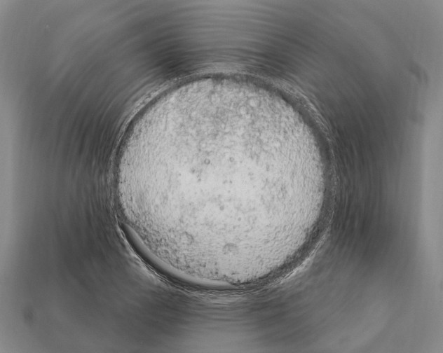 X0000111911129200909071151