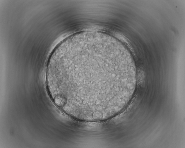 X0000111911130200909071151