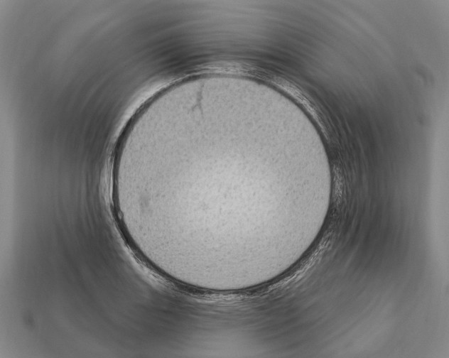 X0000111911131200909071151