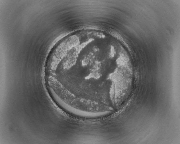 X0000111911133200909071151