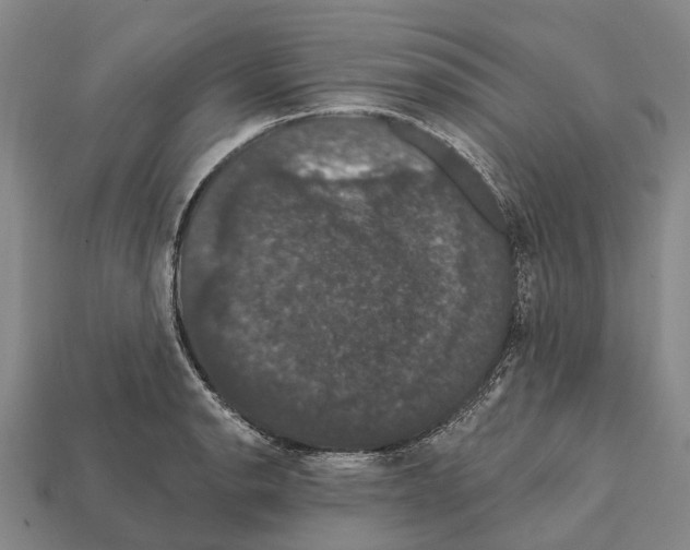 X0000111911134200909071151