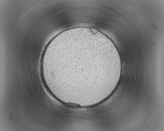 X0000111911135200909071151