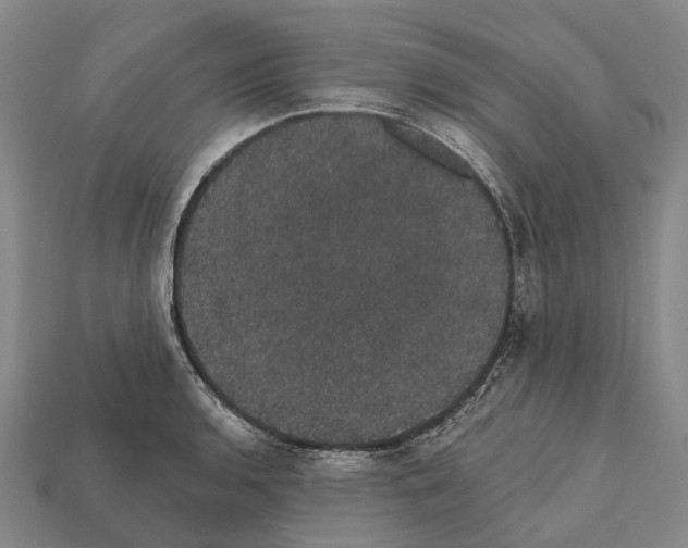 X0000111911136200909071151