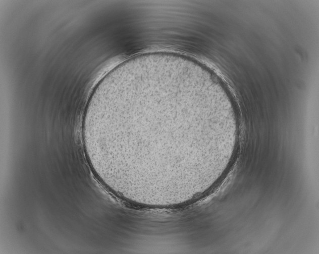 X0000111911137200909071151