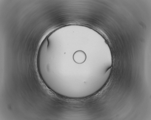 X0000111911138200909071151